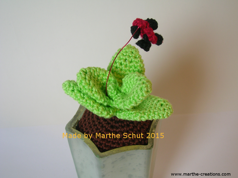 gehaakte agave plant volgens het patroon van Cristina Ugerri; Crocheted agave from a pattern of Cristina Ugerri